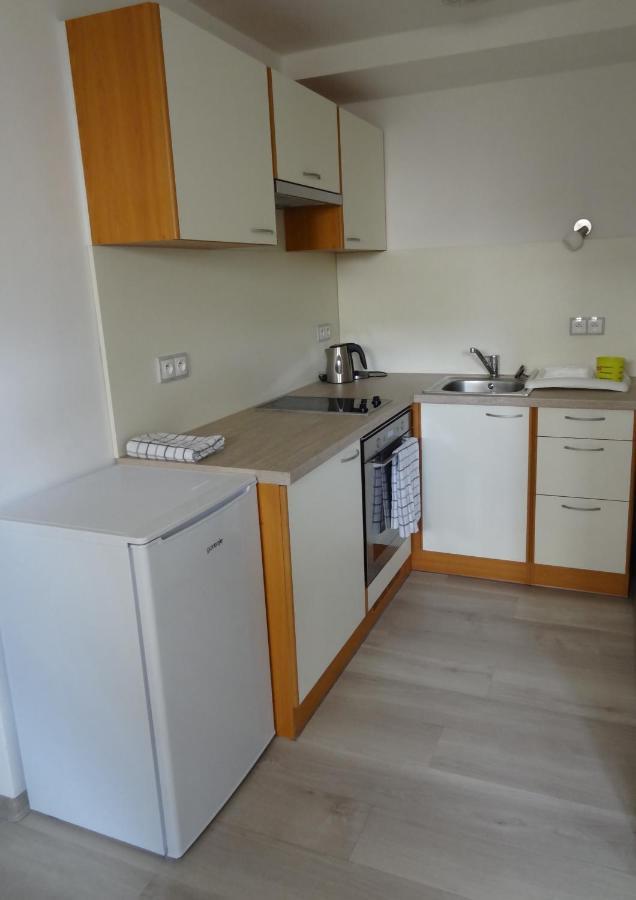 Apartman Karovi Apartment Destne v Orlickych horach Ngoại thất bức ảnh